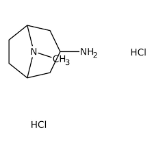 8-Methyl-8-azabicyclo[3.2.1]octan-3-amine dihydrochloride, 90% 10g Maybridge BTB14320EA