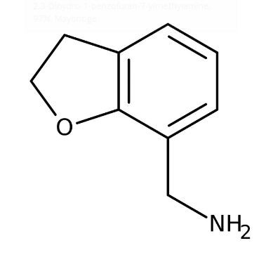 2,3-Dihydro-1-benzofuran-7-ylmethylamine, 97% 250mg Maybridge CC00913CB