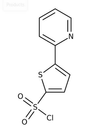 5-(2-Pyridyl)thiophene-2-sulfonyl chloride, 95% 5g Maybridge CC02203DE