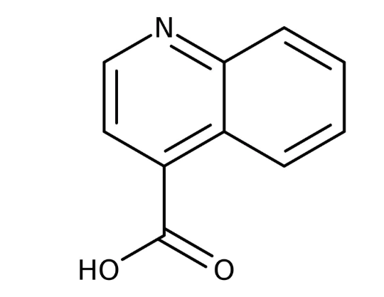 Quinoline-4-carboxylic acid, 97% 250mg Maybridge CC04601CB