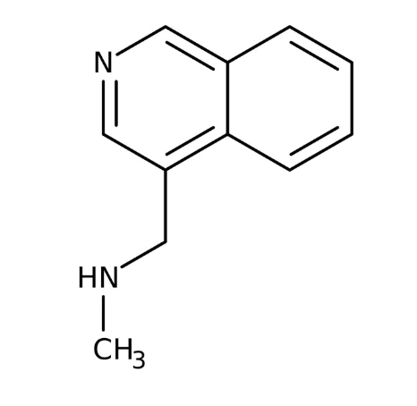 N-Methyl-(isoquinolin-4-ylmethyl)amine, 97% 250mg Maybridge CC04946CB