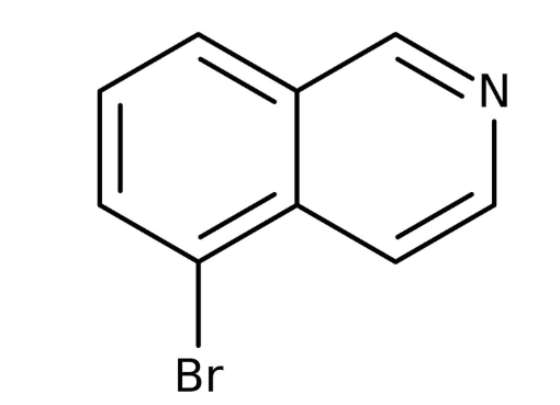 5-Bromoisoquinoline, 95% 1g Maybridge CC05010DA