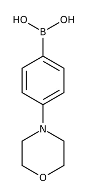 4-Morpholinophenylboronic acid 97%, 5g Maybridge CC17412DE