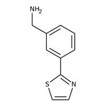 [3-(1,3-Thiazol-2-yl)phenyl]methylamine, 97% 1g Maybridge CC36513DA