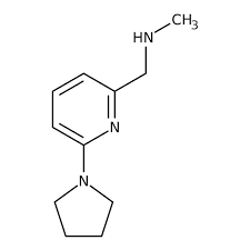 N-Methyl-N-[(6-pyrrolidin-1-ylpyridin-2-yl)methyl]amine, 97% 1g Maybridge CC38046DA