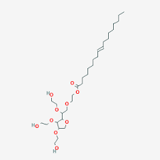 Tween 80 500ml Bioreagents BP338-500