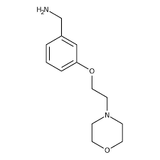 [3-(2-Morpholinoethoxy)phenyl]methylamine, 95% 1g Maybridge CC42013DA