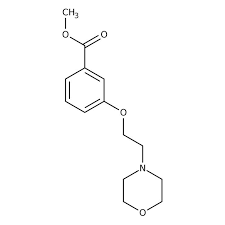 Methyl 3-(2-morpholin-4-ylethoxy)benzoate, 97% 5g Maybridge CC42022DE