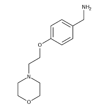 [4-(2-Morpholinoethoxy)phenyl]methylamine, 95% 1g Maybridge CC42113DA
