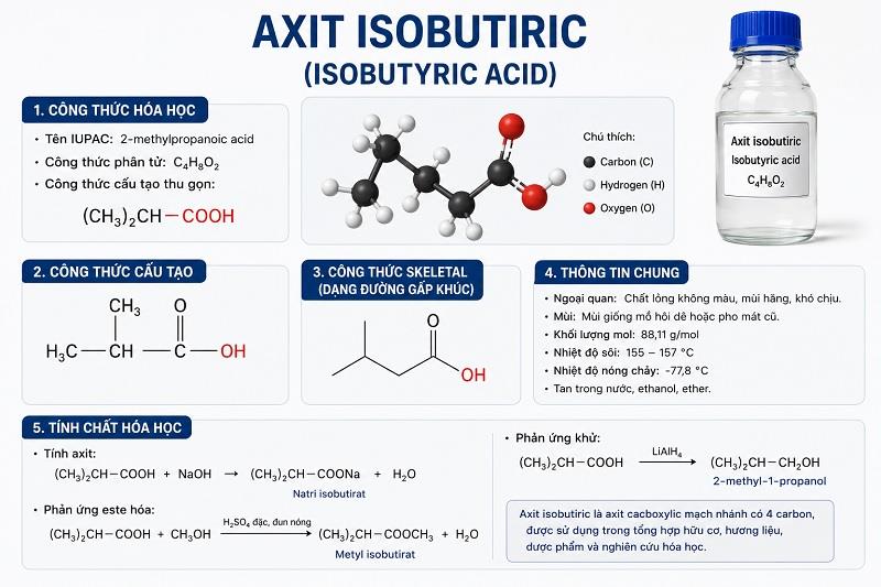 Axit Isobutiric là gì? Tính chất, Công thức & Ứng dụng Công nghiệp