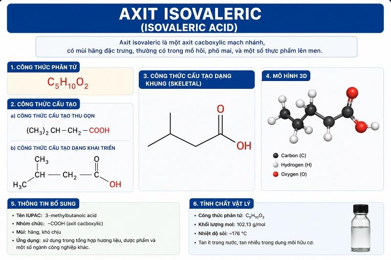 Axit Isovaleric: Tổng Quan Ứng Dụng, Tính Chất & An Toàn Hóa Chất