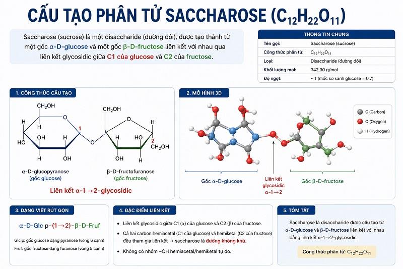 Saccharose có phản ứng tráng bạc không?