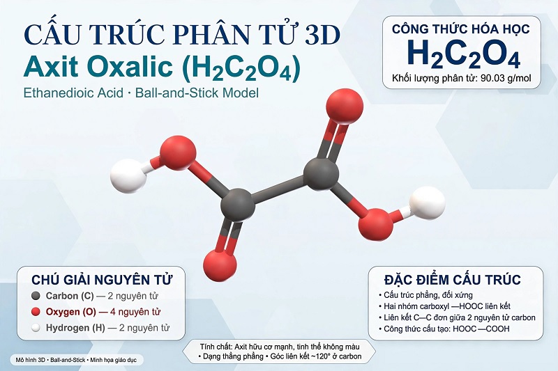 Oxalic Acid (H2C2O4): Có trong đâu, Tính chất & MSDS an toàn