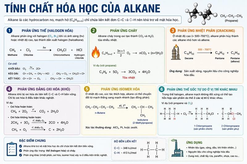 Tính chất hóa học của Alkane: Cẩm nang chuyên sâu & So sánh Alkene