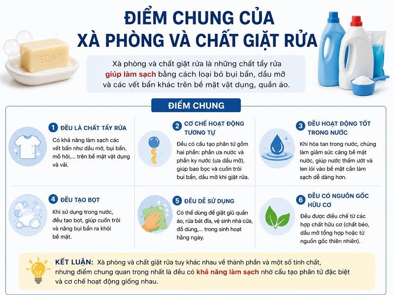 Xà phòng và chất giặt rửa có điểm chung là gì?