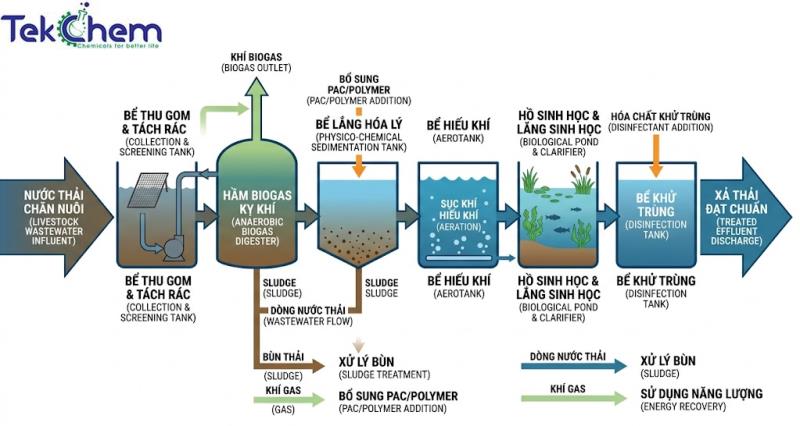 Xử Lý Nước Thải Trong Chăn Nuôi: Giải Pháp Tối Ưu Và Quy Định Mới Nhất 2026