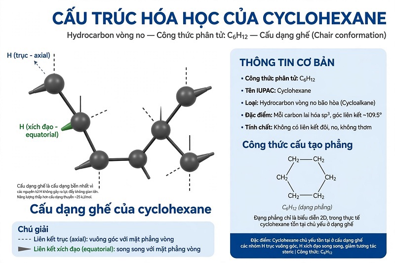 Cyclohexane là gì? Tính chất, ứng dụng và lưu ý khi sử dụng