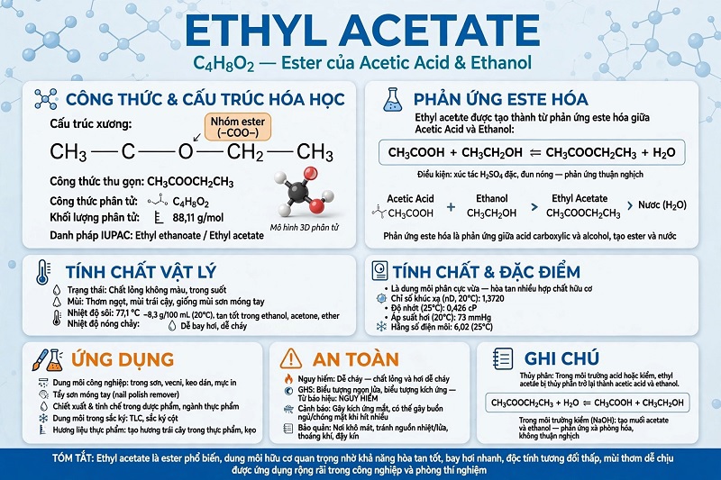 Dung môi Ethyl Acetate dùng để làm gì trong sơn và mực in?